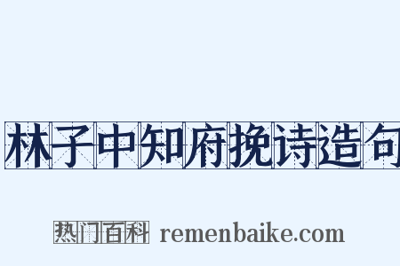 林子中知府挽诗造句是什么意思的图片
